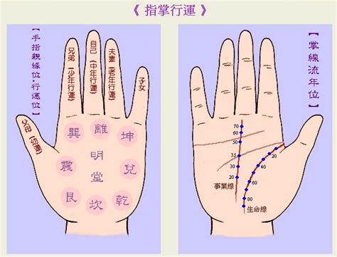 手相先天是多少歲之前 手相左手先天右手后天的說法