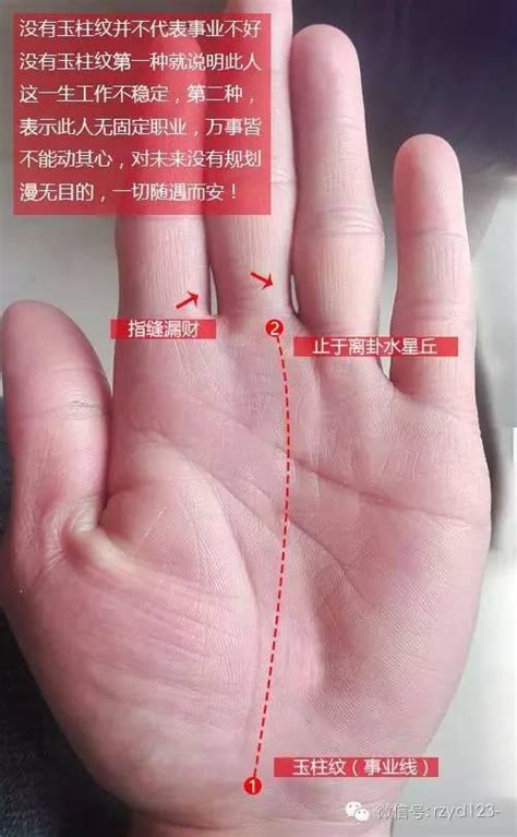手相有事業線真的有事業嗎,手相真的跟命運有關嗎