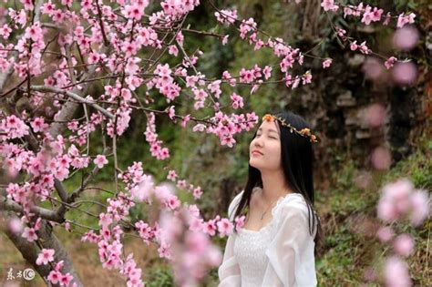 桃花運(yùn)源源不斷(桃花運(yùn)不斷)