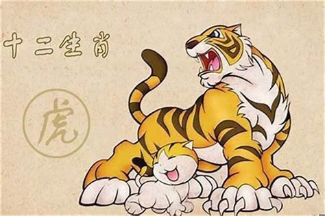 水鼠配土虎嗎(水虎和火虎相生還是相克)
