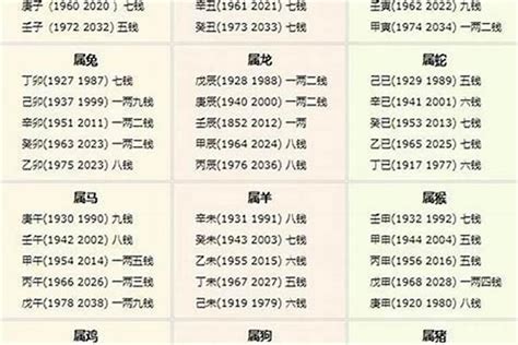 稱骨算命2024年最新版,怎么算自己的生辰八字