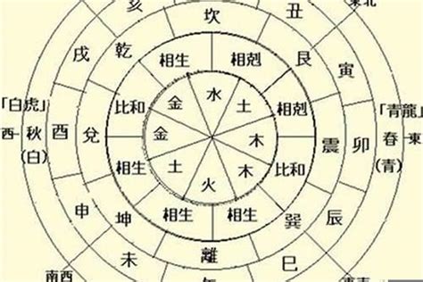 八字中的天干和地支的關系,八字中天干與地支的作用關系