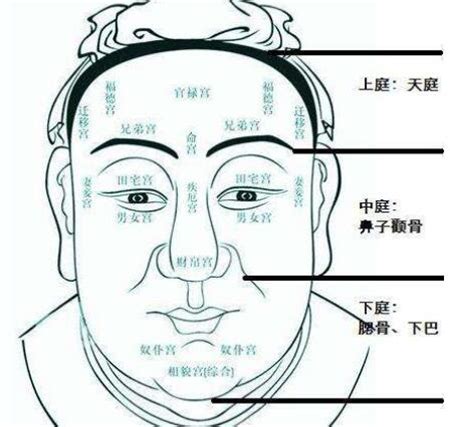 地格是10,地格10短命嗎