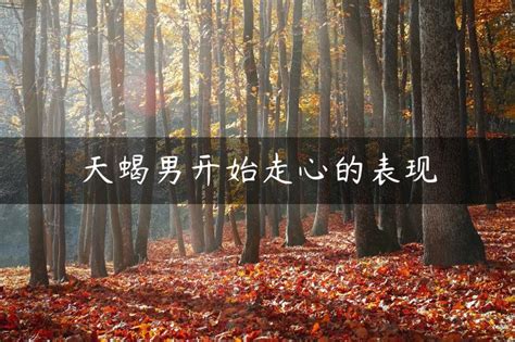 天蝎分手表現(xiàn) 天蝎男開始走心的表現(xiàn)