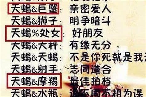天蝎男天蝎座女配對指數,天蝎雙魚配對指數