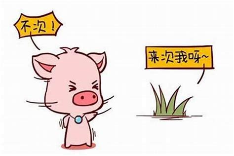屬鼠的人和豬配嗎(屬鼠的和豬相配嗎)