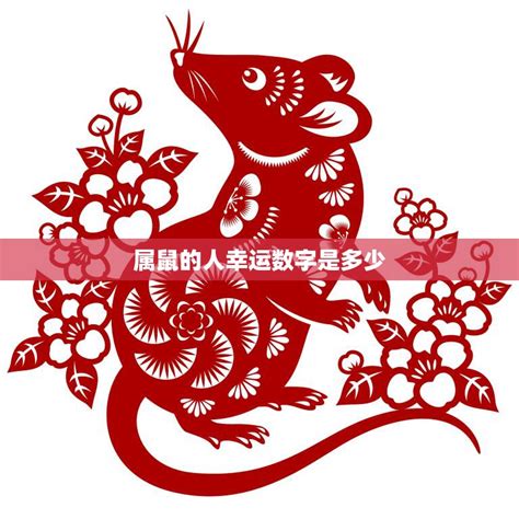 屬鼠的女人幸運數(shù)字和顏色2024,1996屬鼠人的吉祥數(shù)字