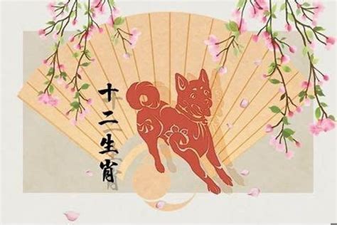 屬狗人的桃花劫怎么破82年,屬虎和屬狗的婚姻如何