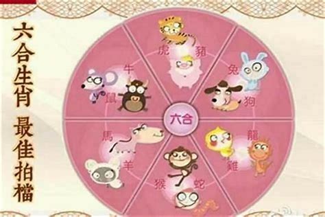 屬羊會克屬兔的嗎 屬羊和屬兔的相克是真的嗎