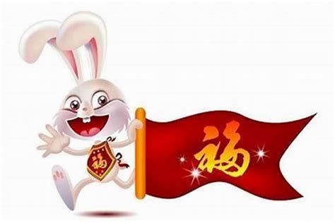 屬兔的人今年的運勢如何啊男(屬兔的男人今年財運怎么樣)