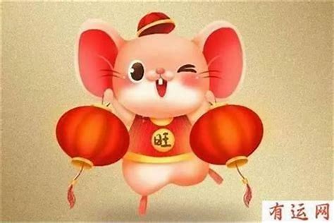72年的鼠今年運勢如何,72年的鼠今年的運勢