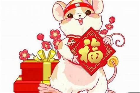 72年屬鼠的人今年運(yùn)氣,屬鼠的人今年怎么樣