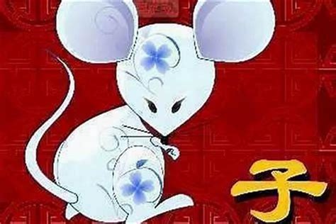 1996年屬鼠取名喬,1996年屬鼠是什么命