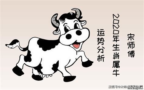 2009年屬牛2024年學(xué)業(yè),2009年屬牛2024年學(xué)業(yè)會好嗎