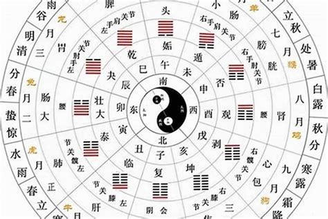 2024年2月在五行當中屬于什么,2024年五行屬是金還是水