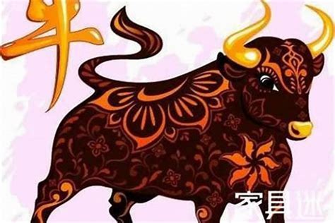 2024年屬牛的人的全年運(yùn)勢(shì),1986年屬虎35歲轉(zhuǎn)運(yùn)