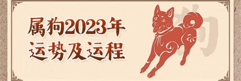 94年屬狗女2024年每月運(yùn)勢(shì),82年狗40歲后十年大運(yùn)運(yùn)程